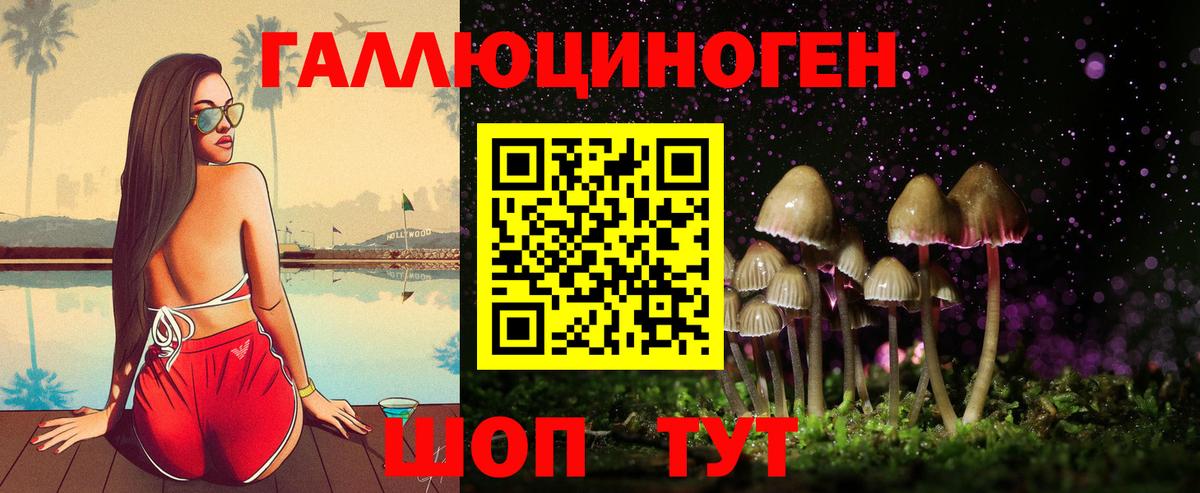Лабинск  Псилоцибиновые грибы Psilocybe  Псилоцибиновые грибы Psilocybine cubensis  Вход с VPN 